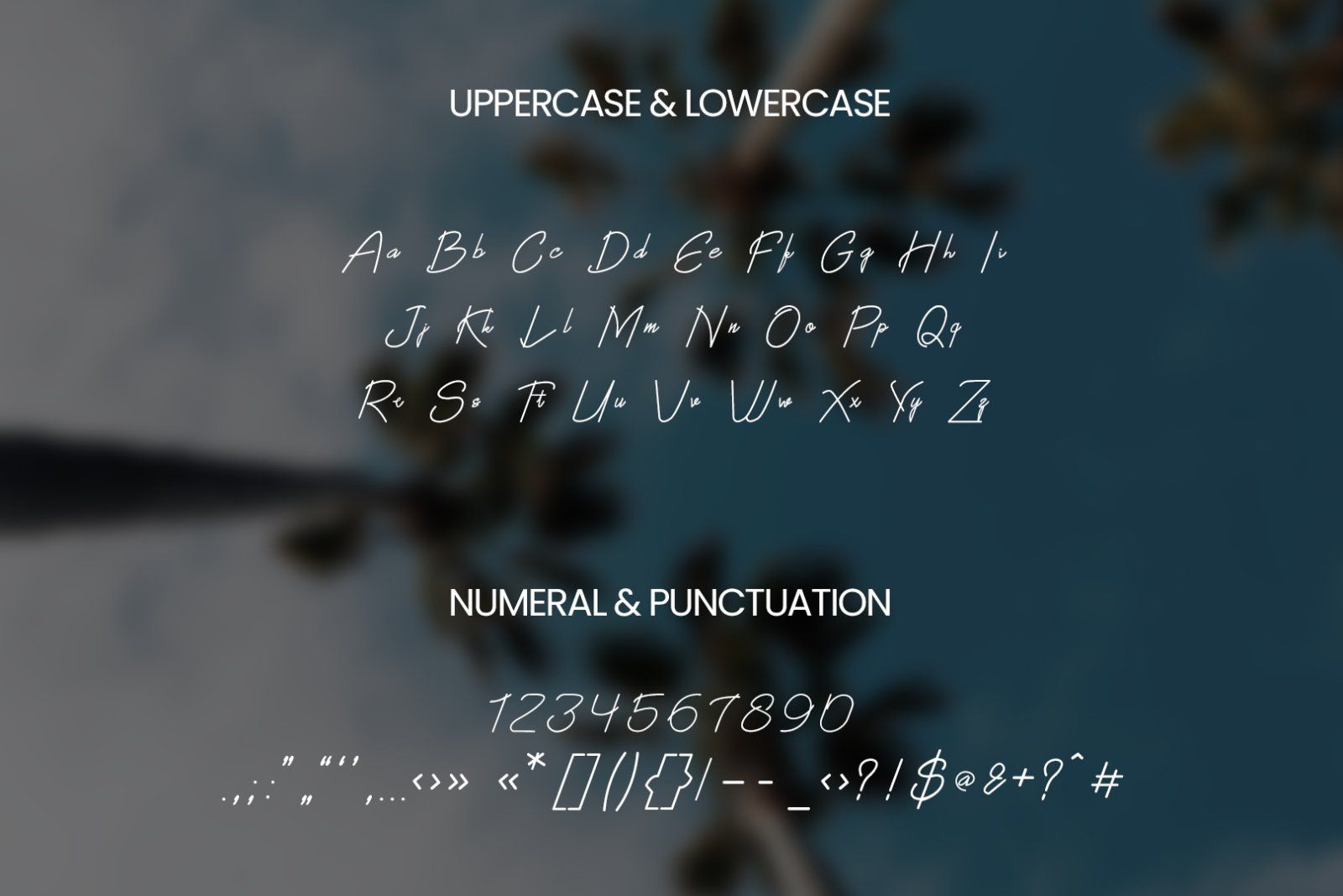 Bluemono - Handwritten Font — image 10