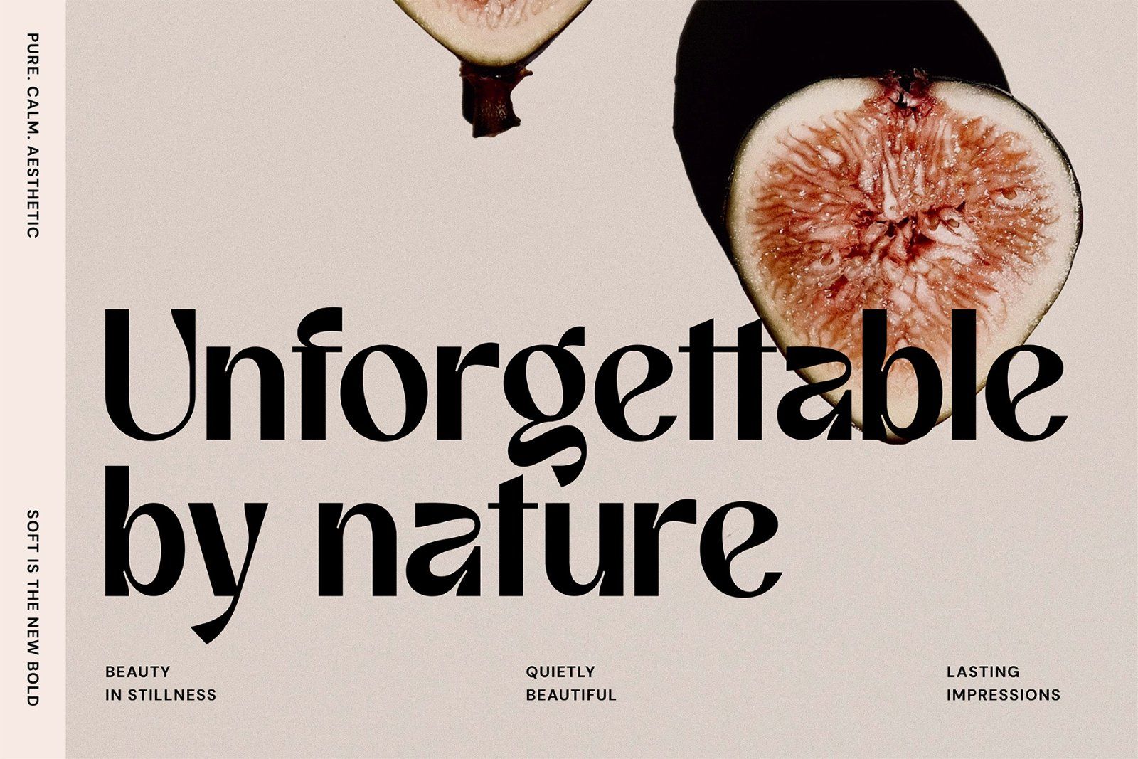 Affigue | Modern Clean Sans Serif