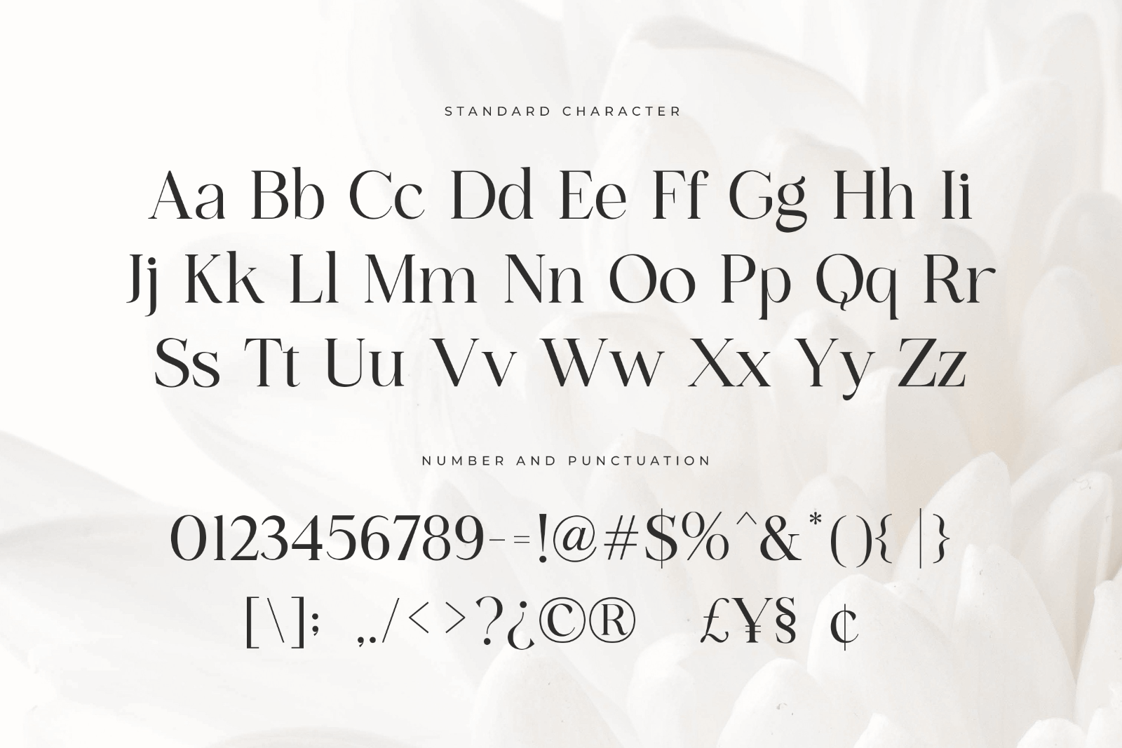 Ehnoel Silva - Minimal Luxury Serif Font — image 10