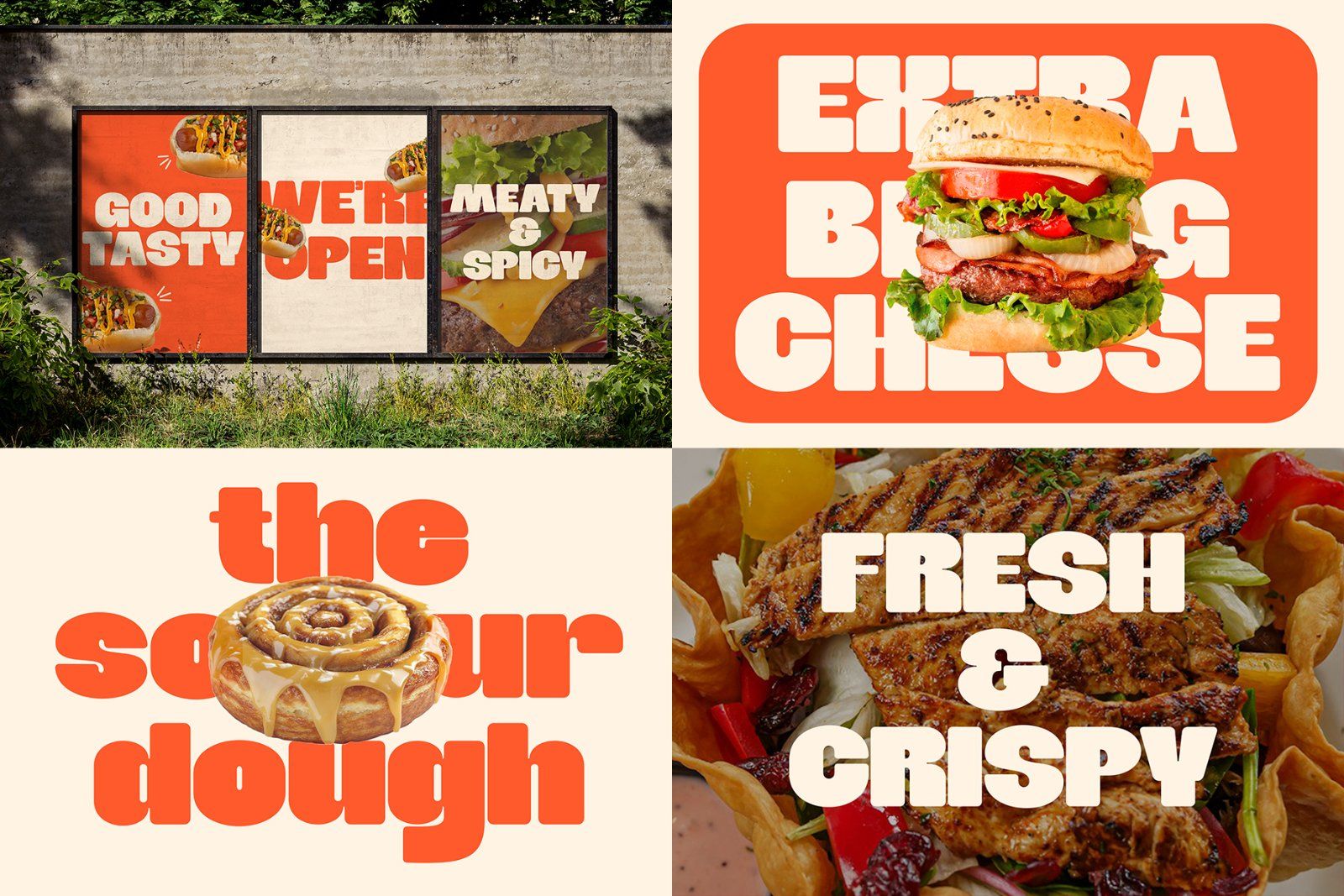 Modern Sans Serif Bundles | Elegant Minimalist Typeface Pack