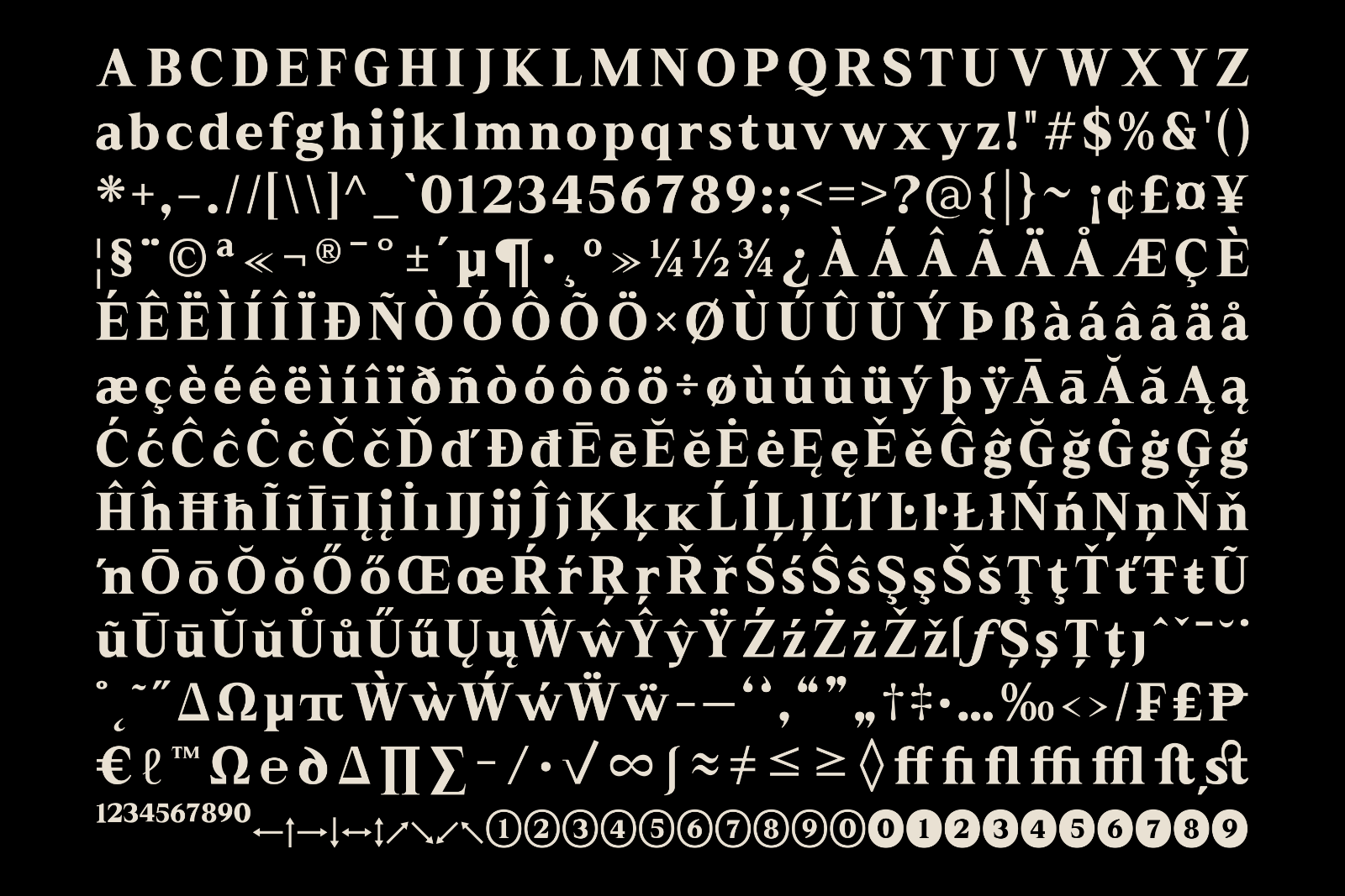 Rhimen - Serif Font Family — image 10
