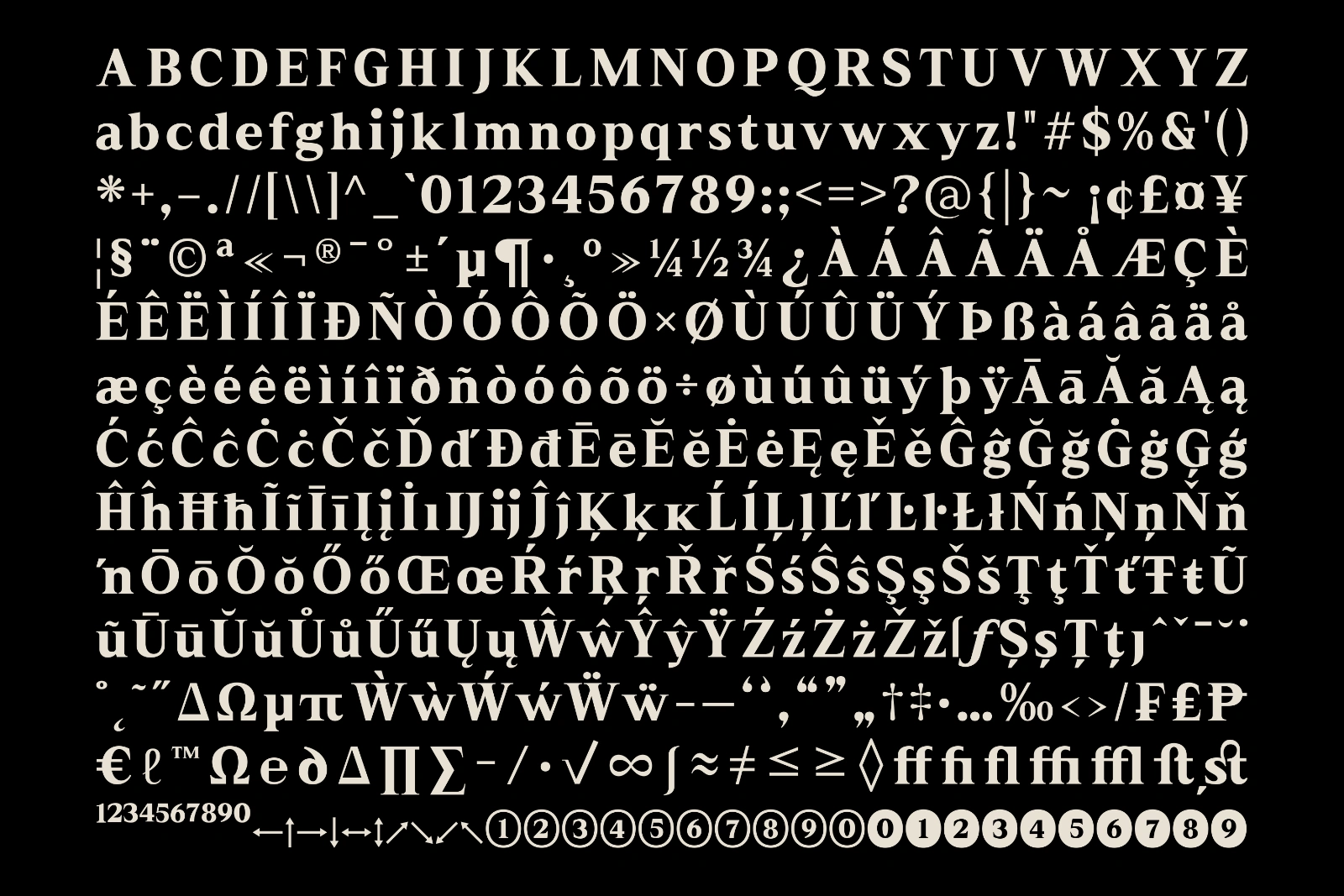 Rhimen - Serif Font Family — image 10