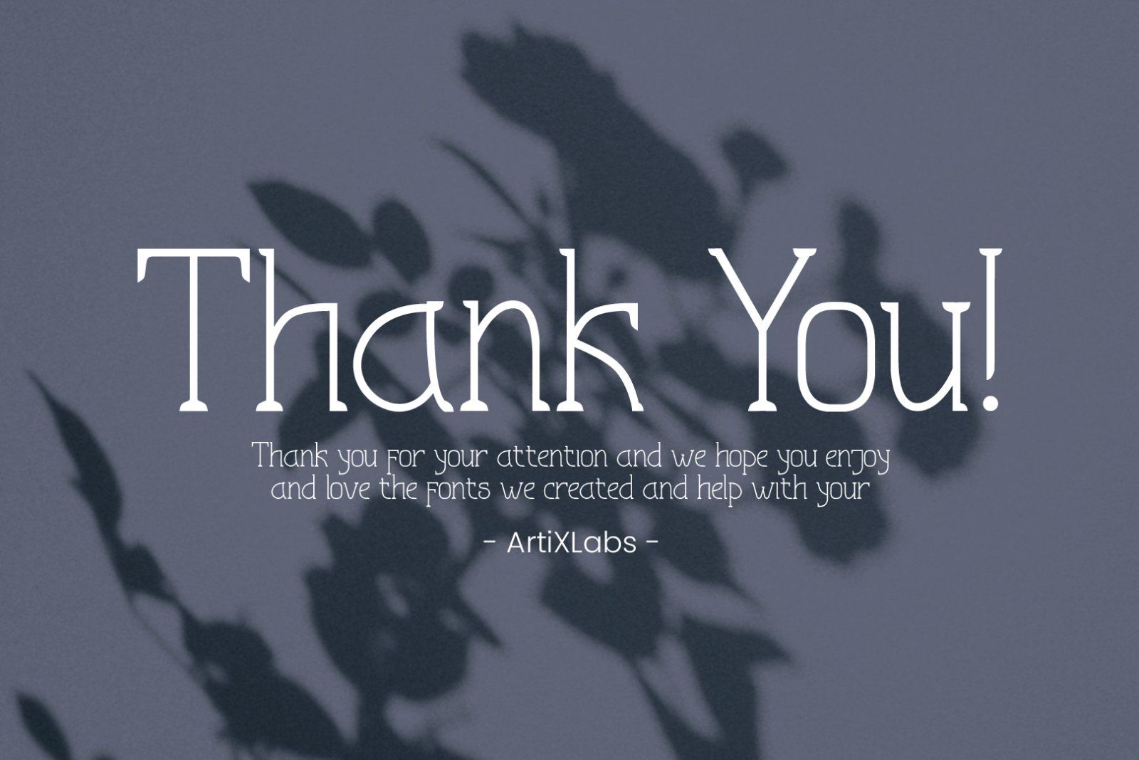 Astralyz Serif Font Type — image 10