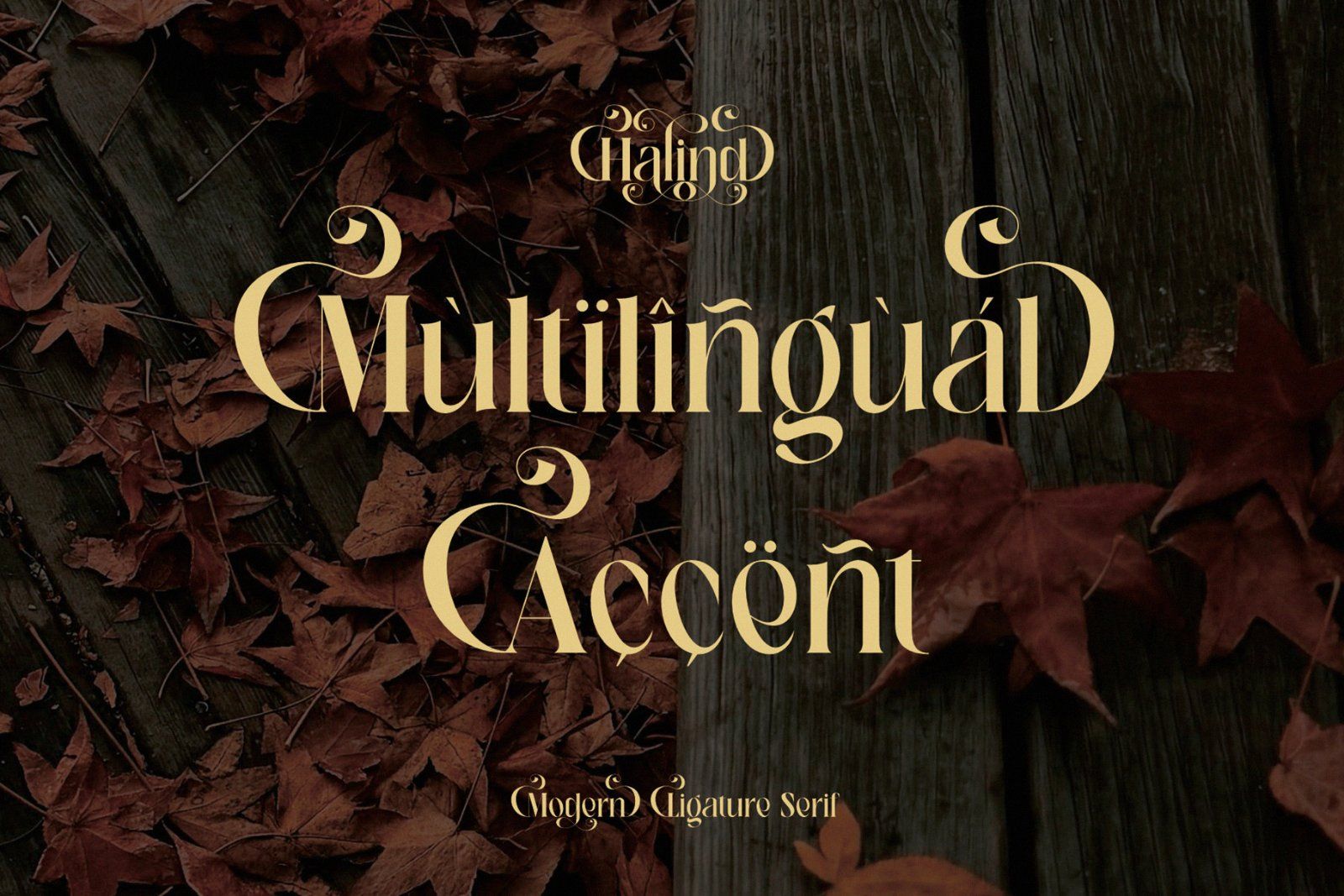 **Halind — Modern Elegant Serif Typeface** — image 10