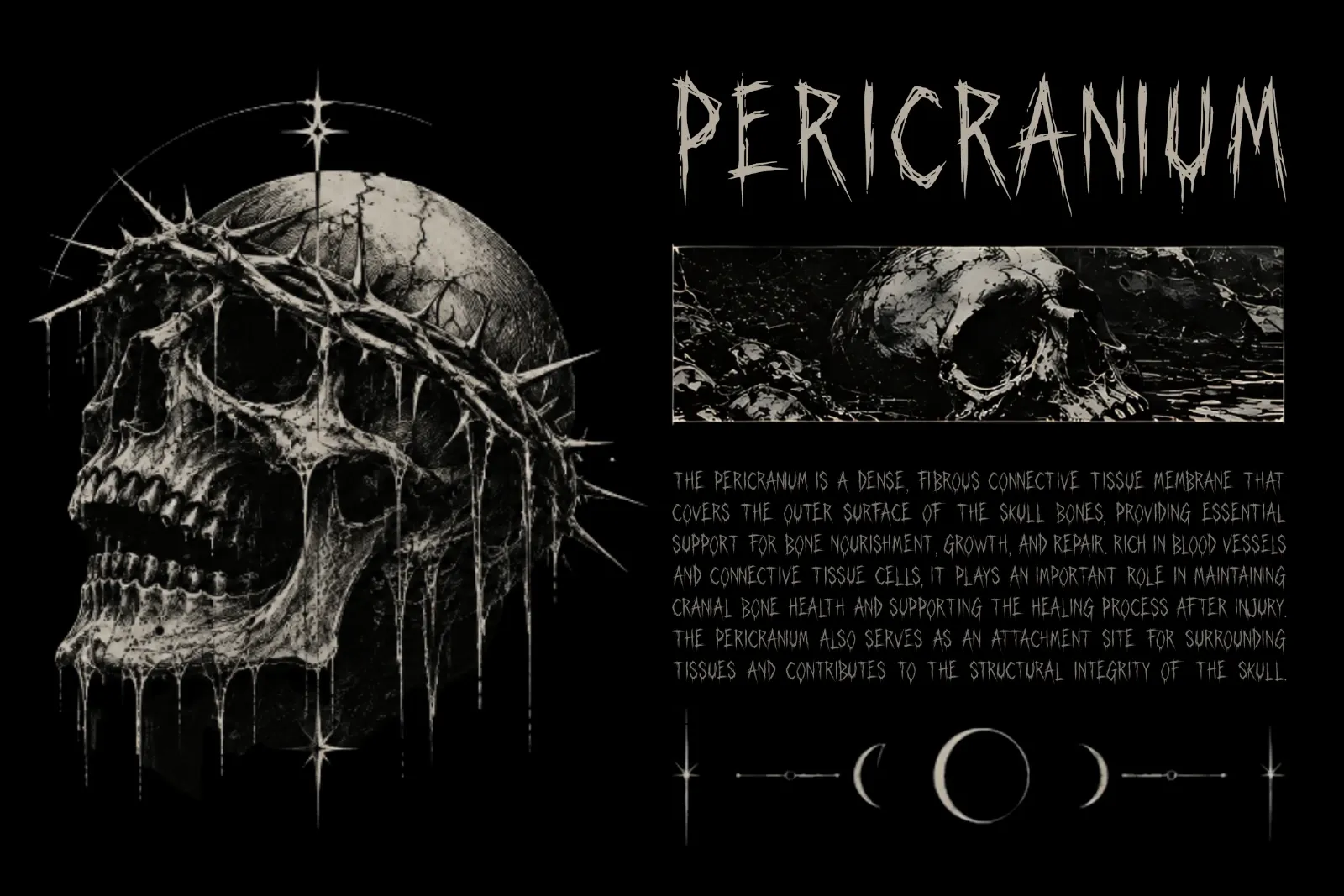 Corpse Smile – Scratchy Horror Display Font, Dark Gothic Typeface for Metal — image 10