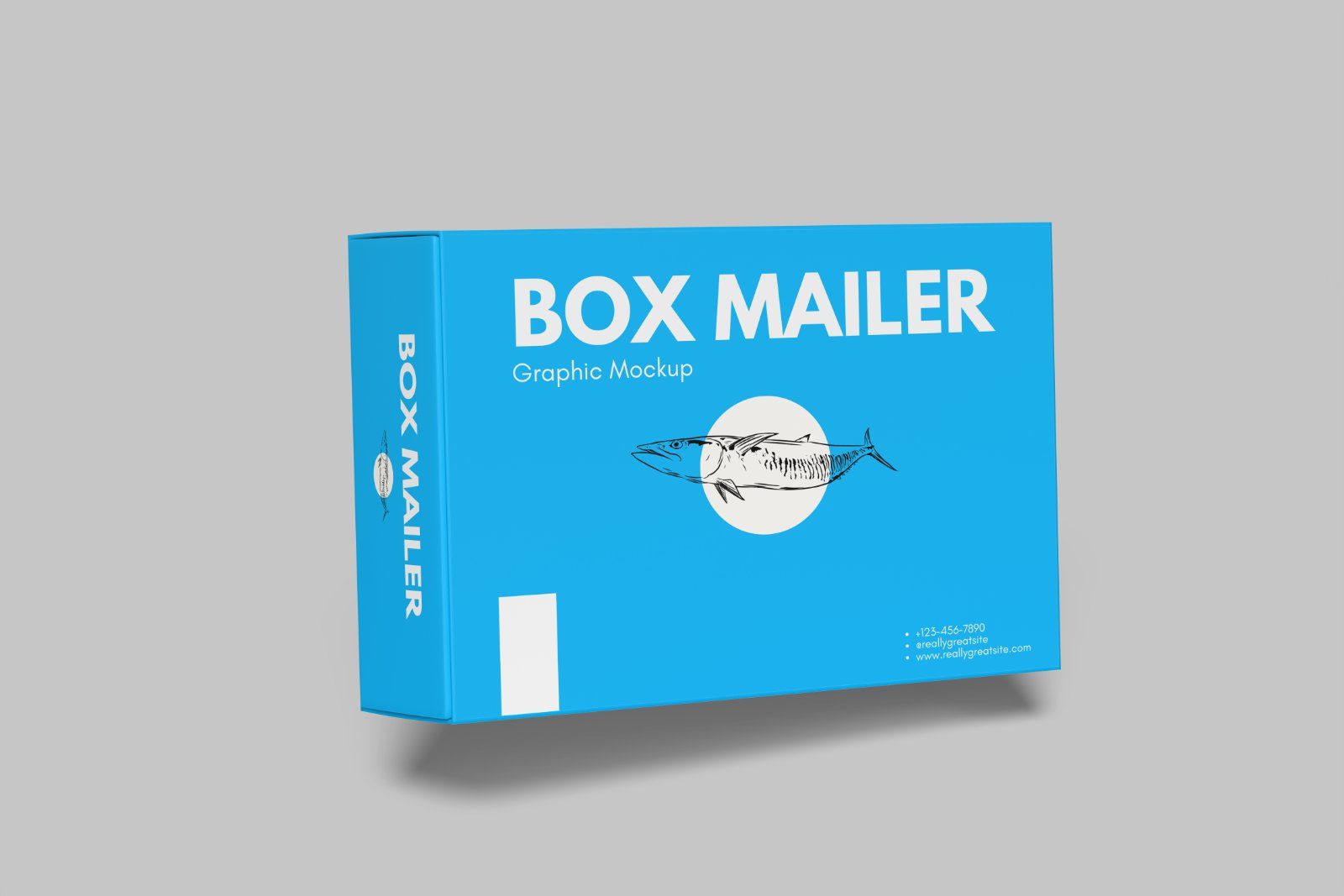 Mailer Box Mockup