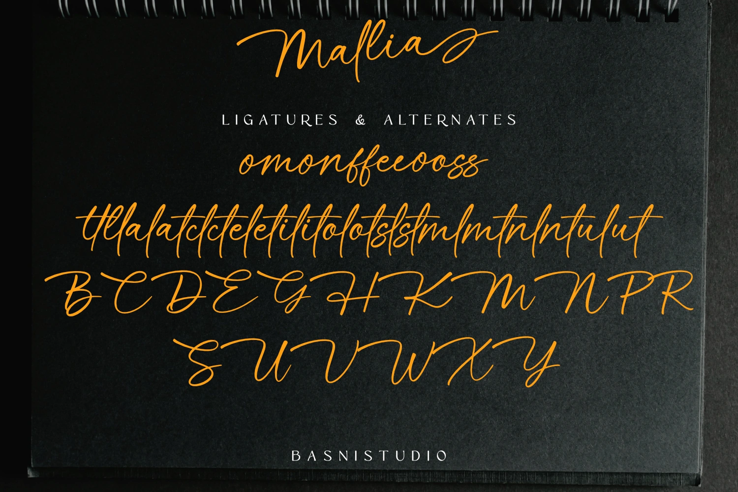 Mallia Handwritten FOnt — image 10
