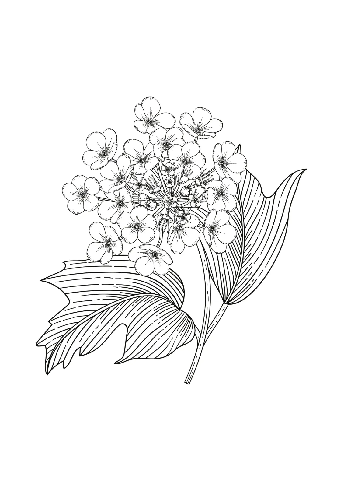 Flowers Coloring Book for Adults — image 5