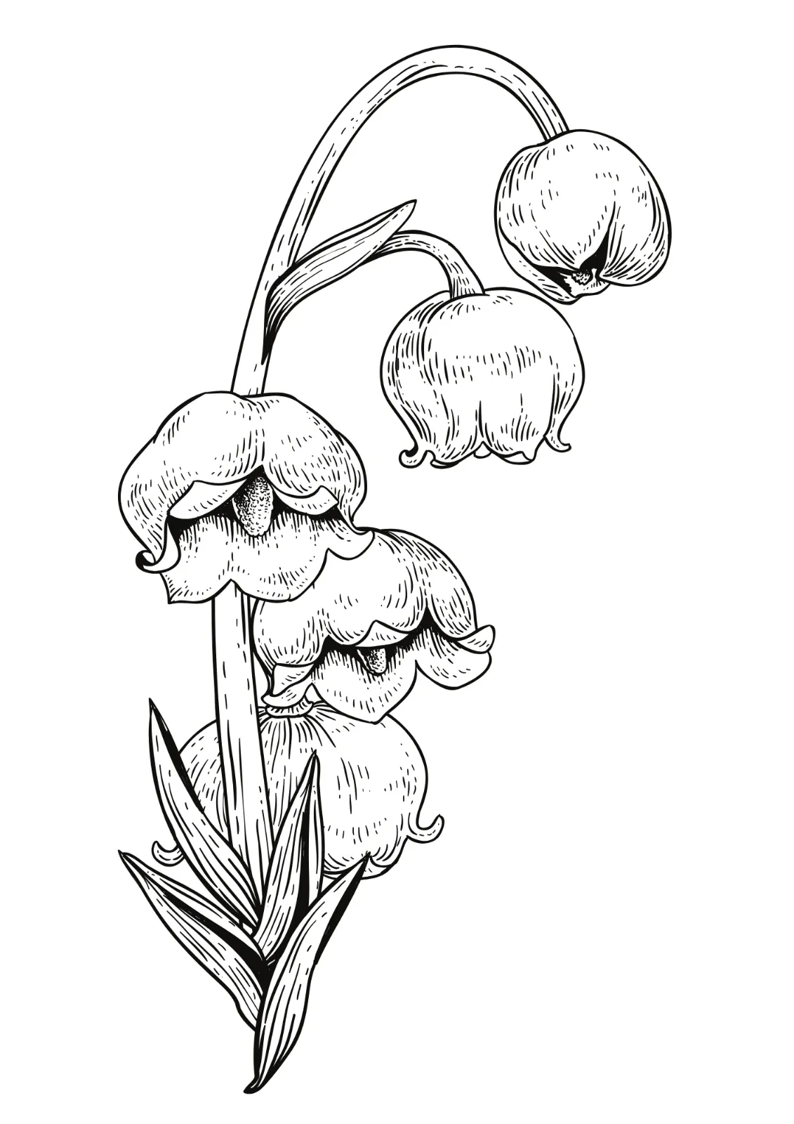 Flowers Coloring Book for Adults — image 4