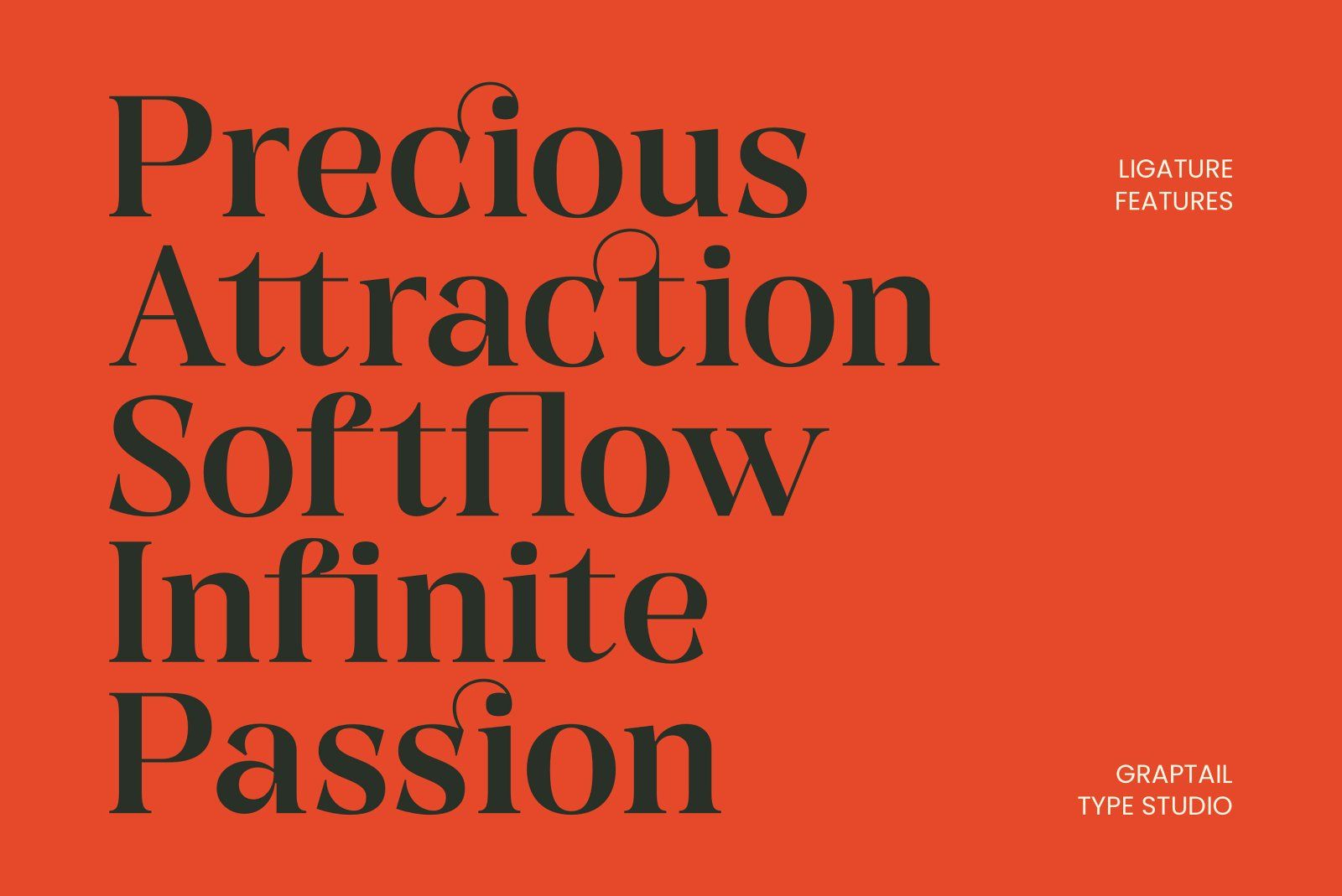 Gts Calira - Romantic Serif Font — image 11