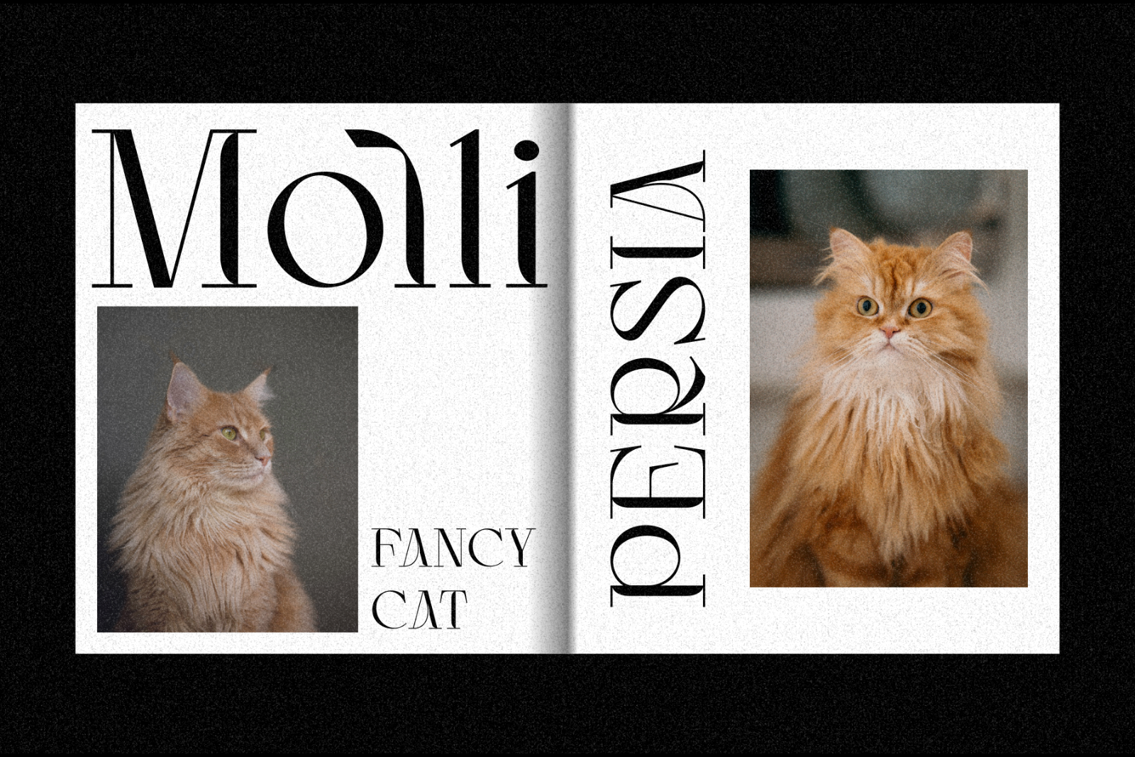 Luncat - Font