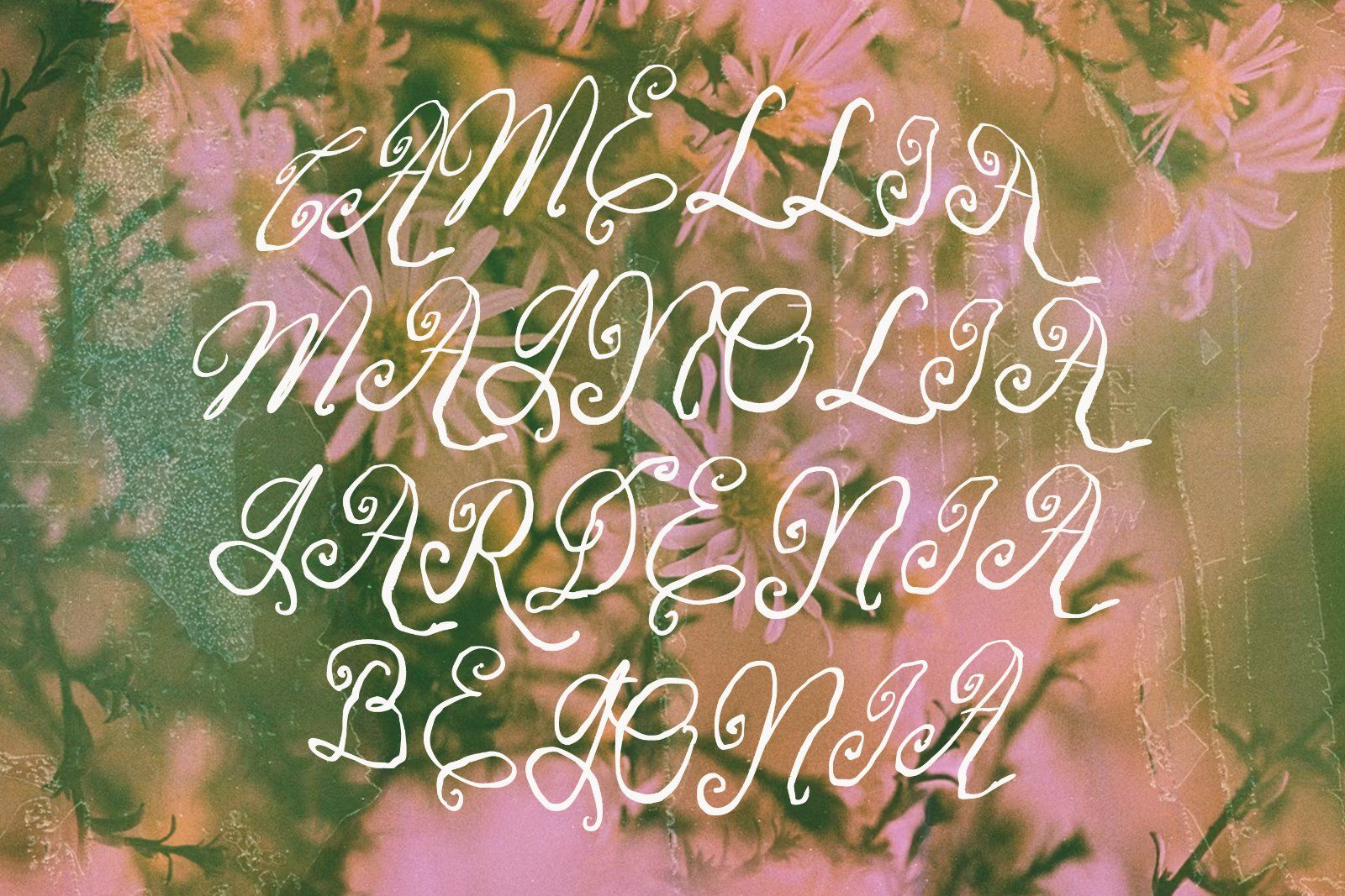 The Louise Script | Whimsical Font — image 10