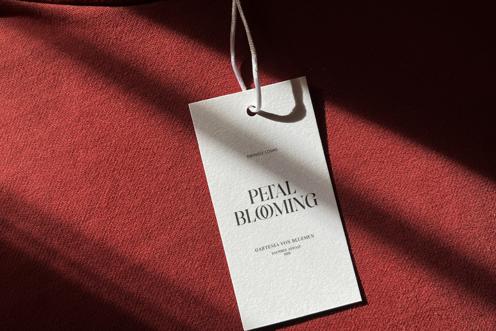 Swingly Lours | Magnificent Font — image 11