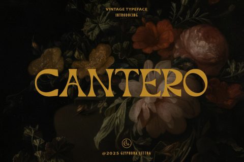 Cantero - Retro Serif Font