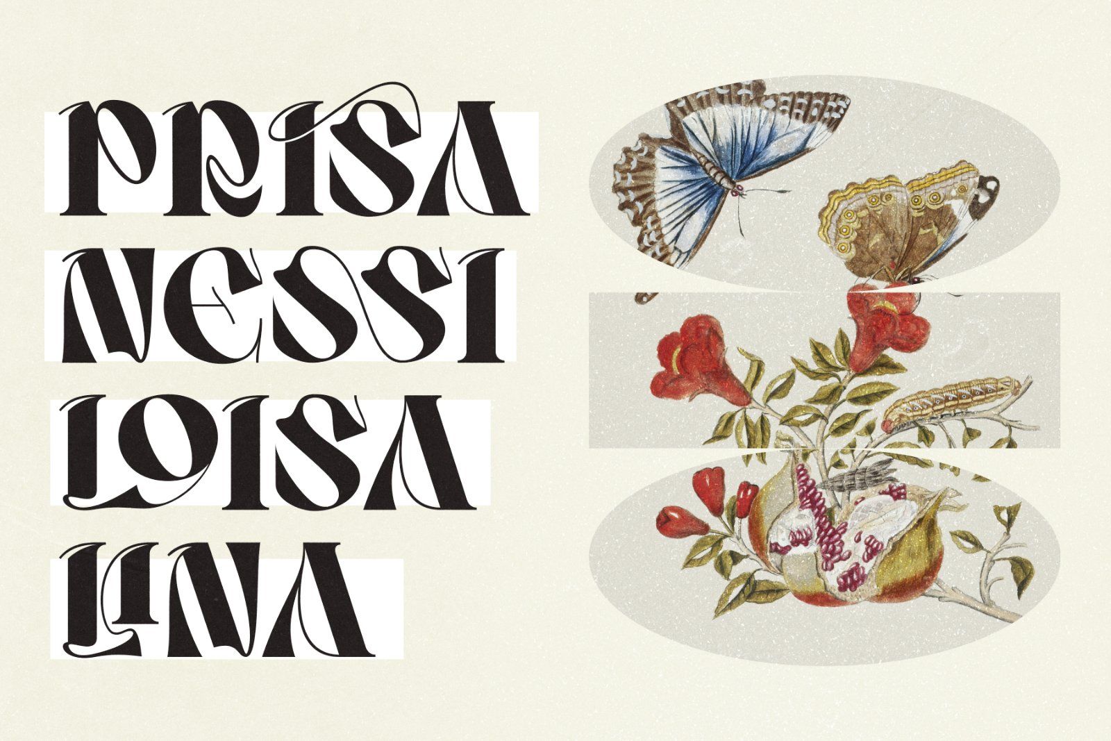 Poison Display Font