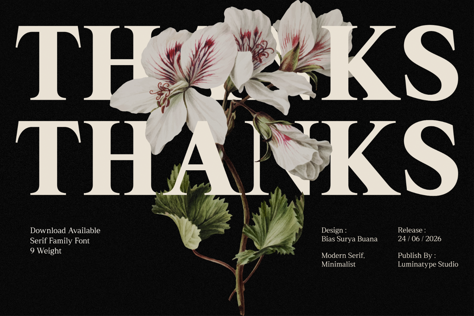 Rhimen - Serif Font Family — image 11