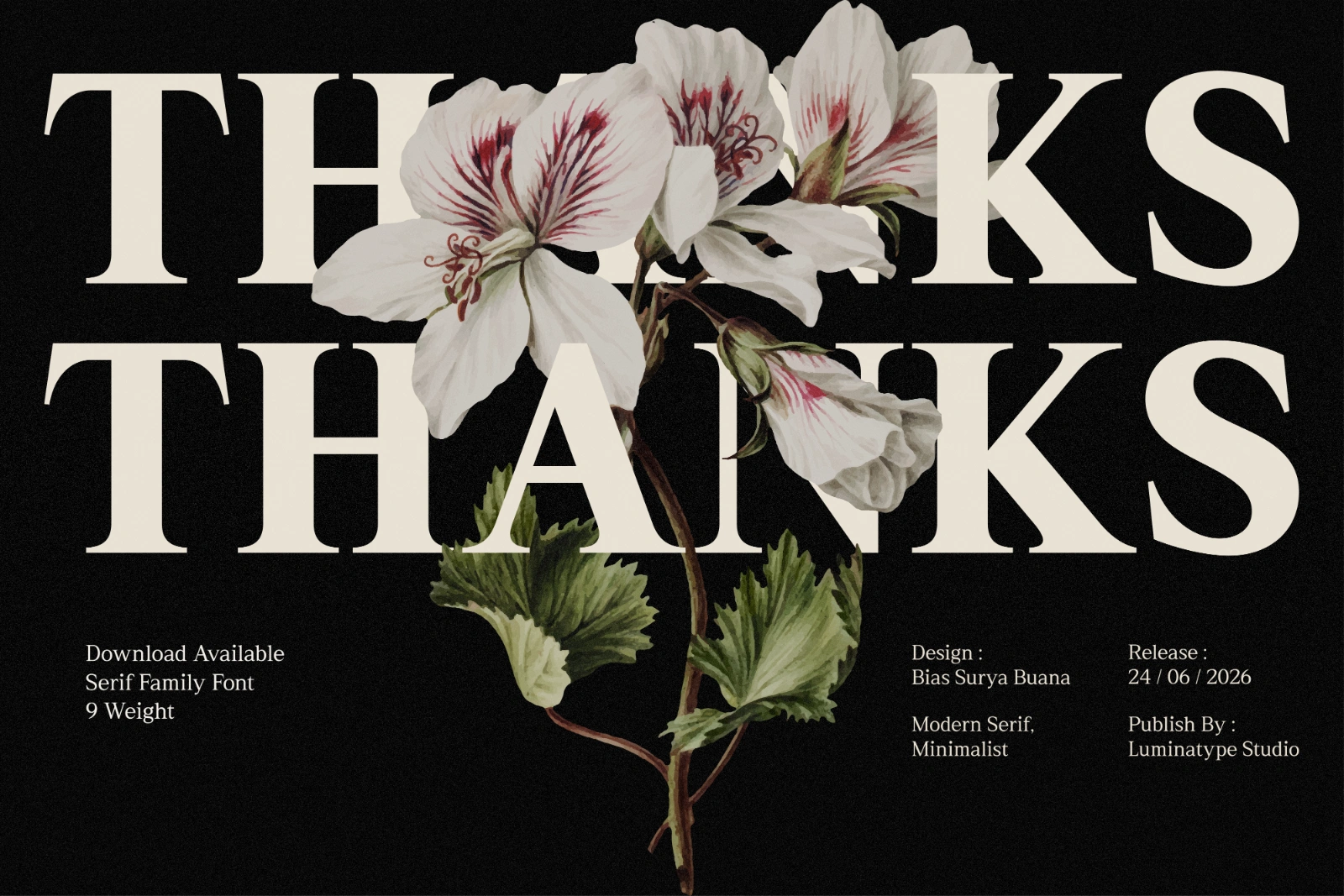 Rhimen - Serif Font Family — image 11