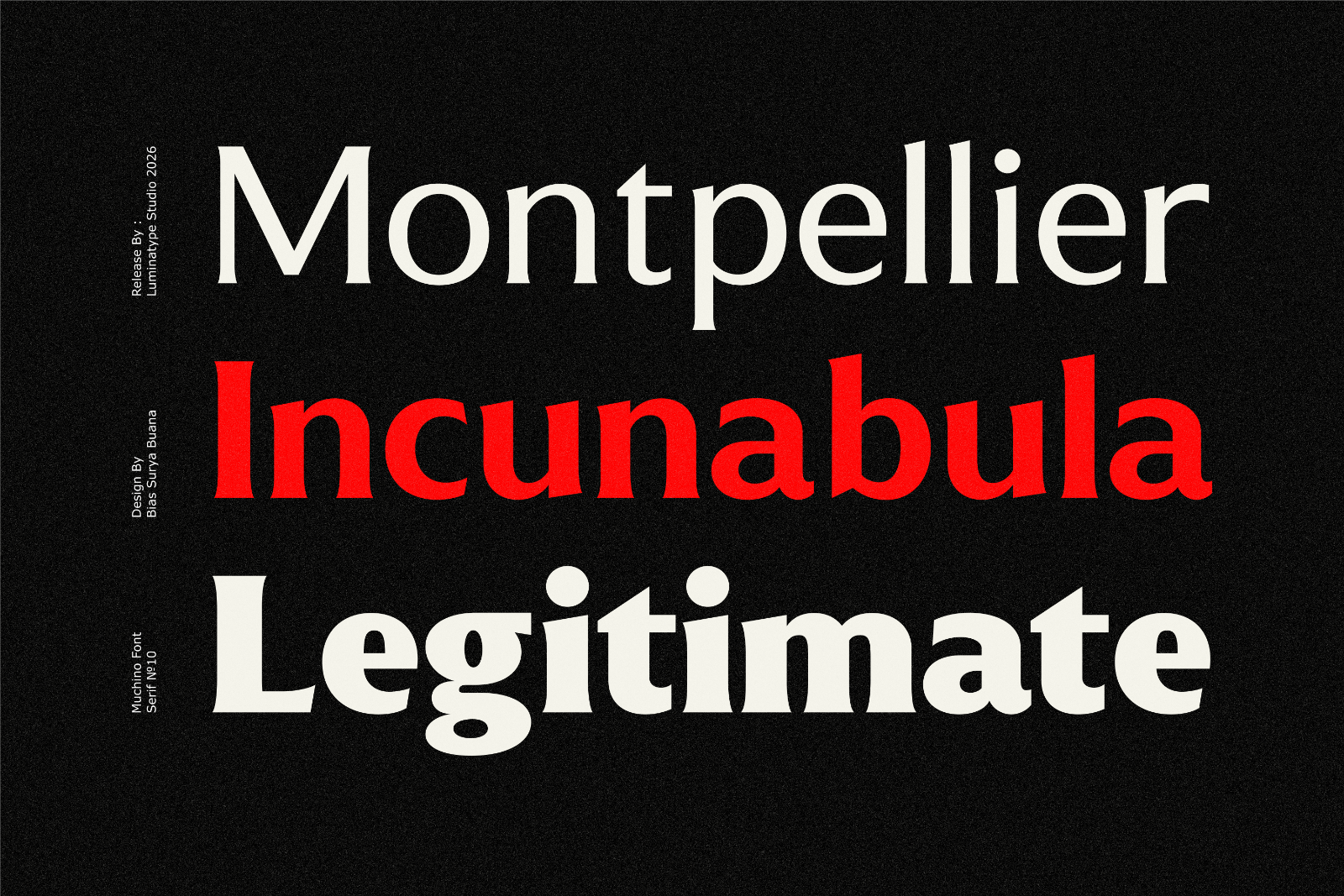 Muchino - Serif Family — image 6