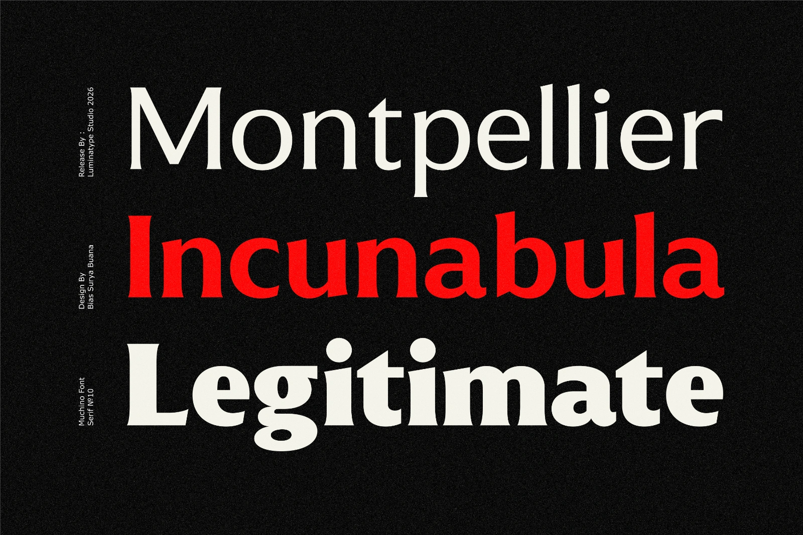 Muchino - Serif Family — image 6