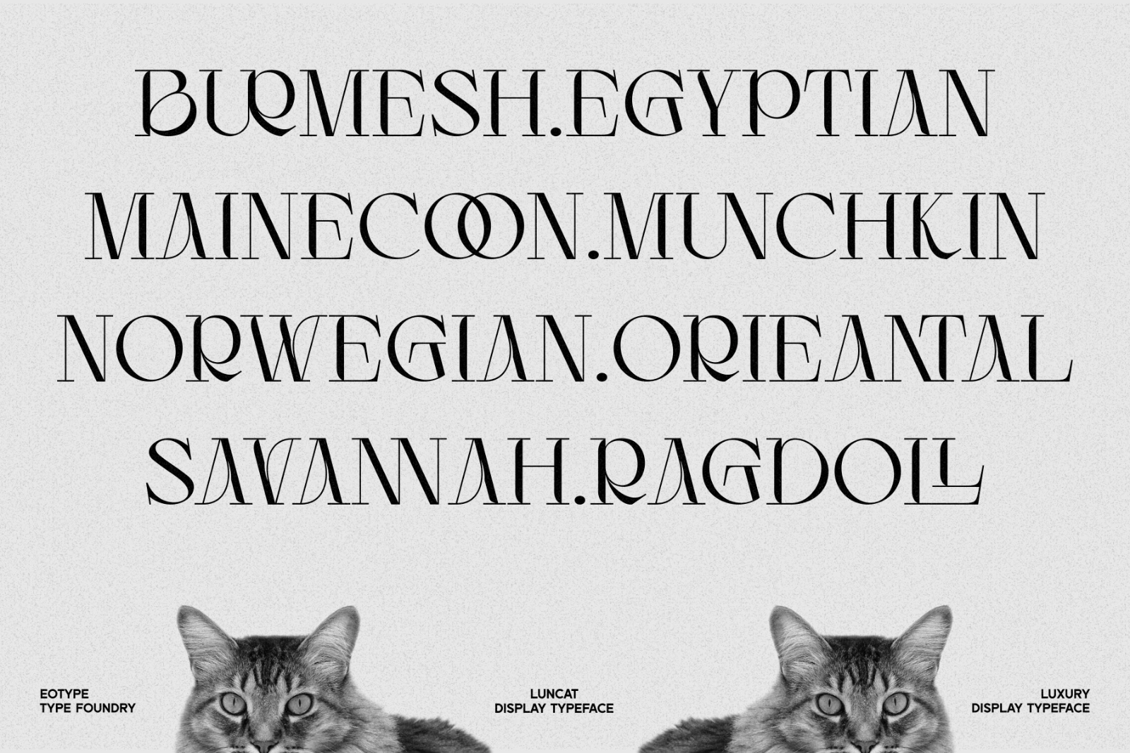 Luncat - Font — image 12