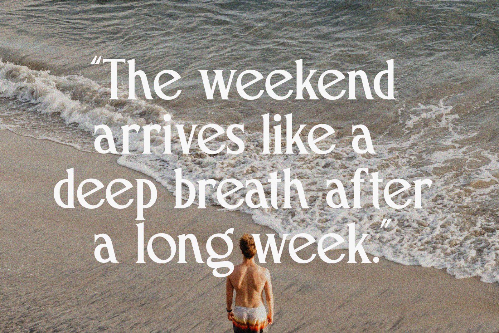 French Macchiola | Vintage Display Serif