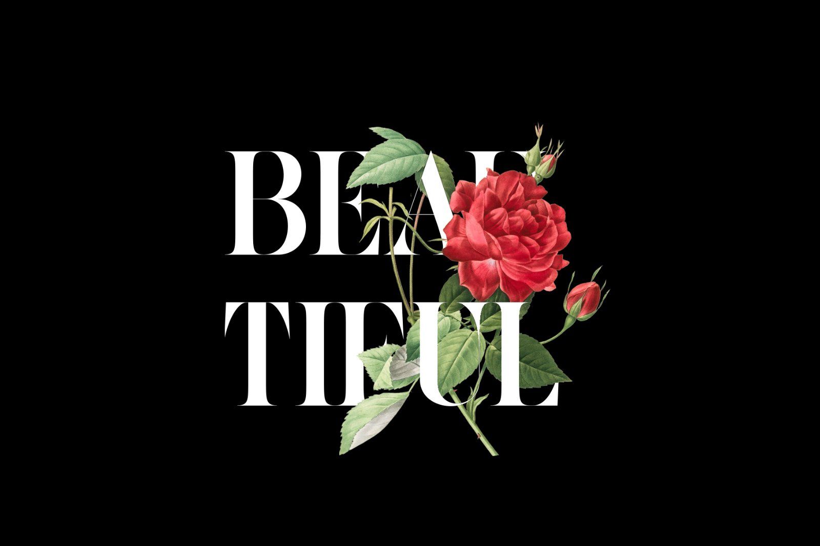 Cilager - Modern Serif Typeface — image 12