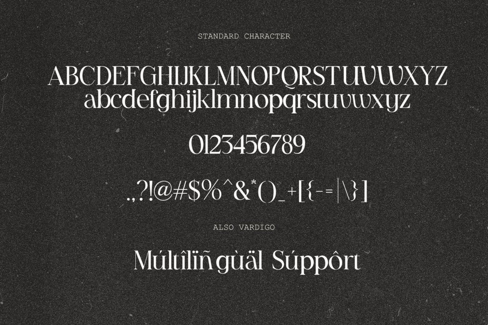 Vardigo - Beauty Elegant Font — image 9