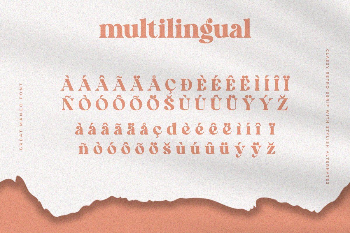 Great Mango - Stylish Serif — image 12