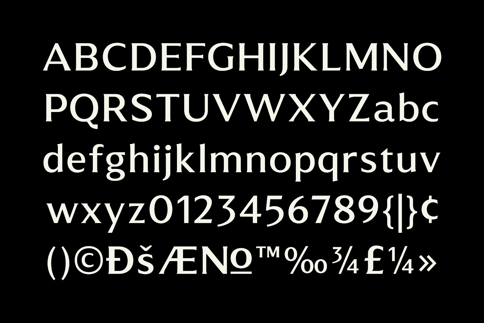 Muchino - Serif Family — image 10
