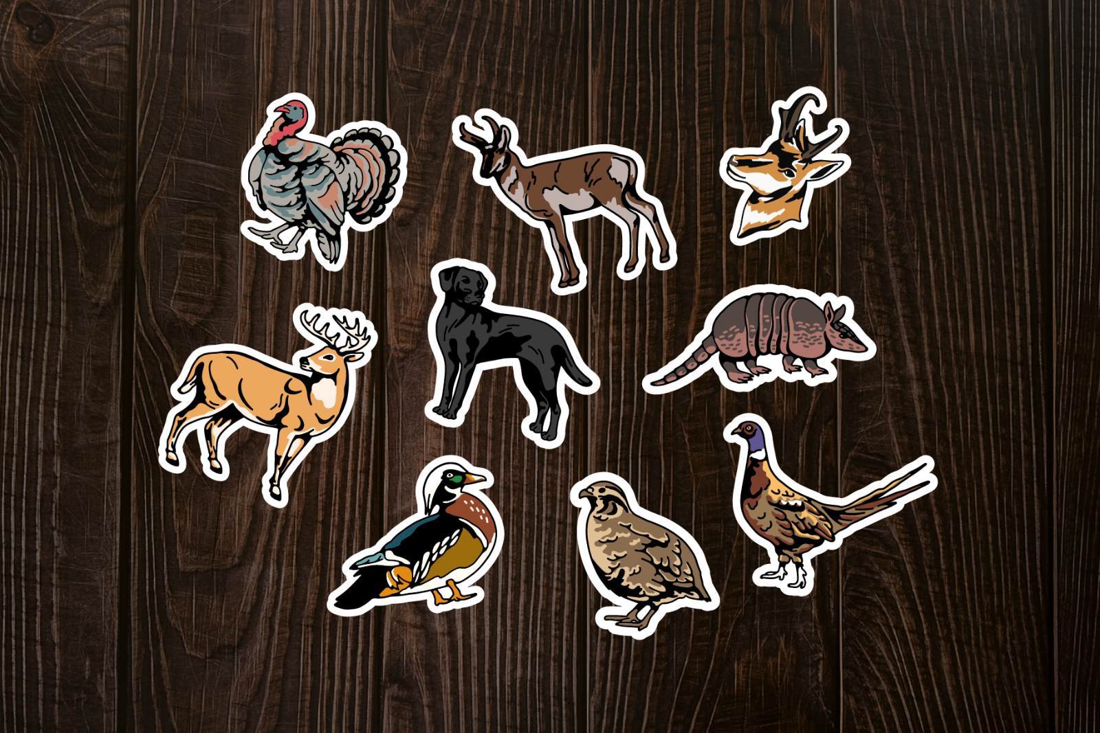 Hunting Animal Illustration — image 13