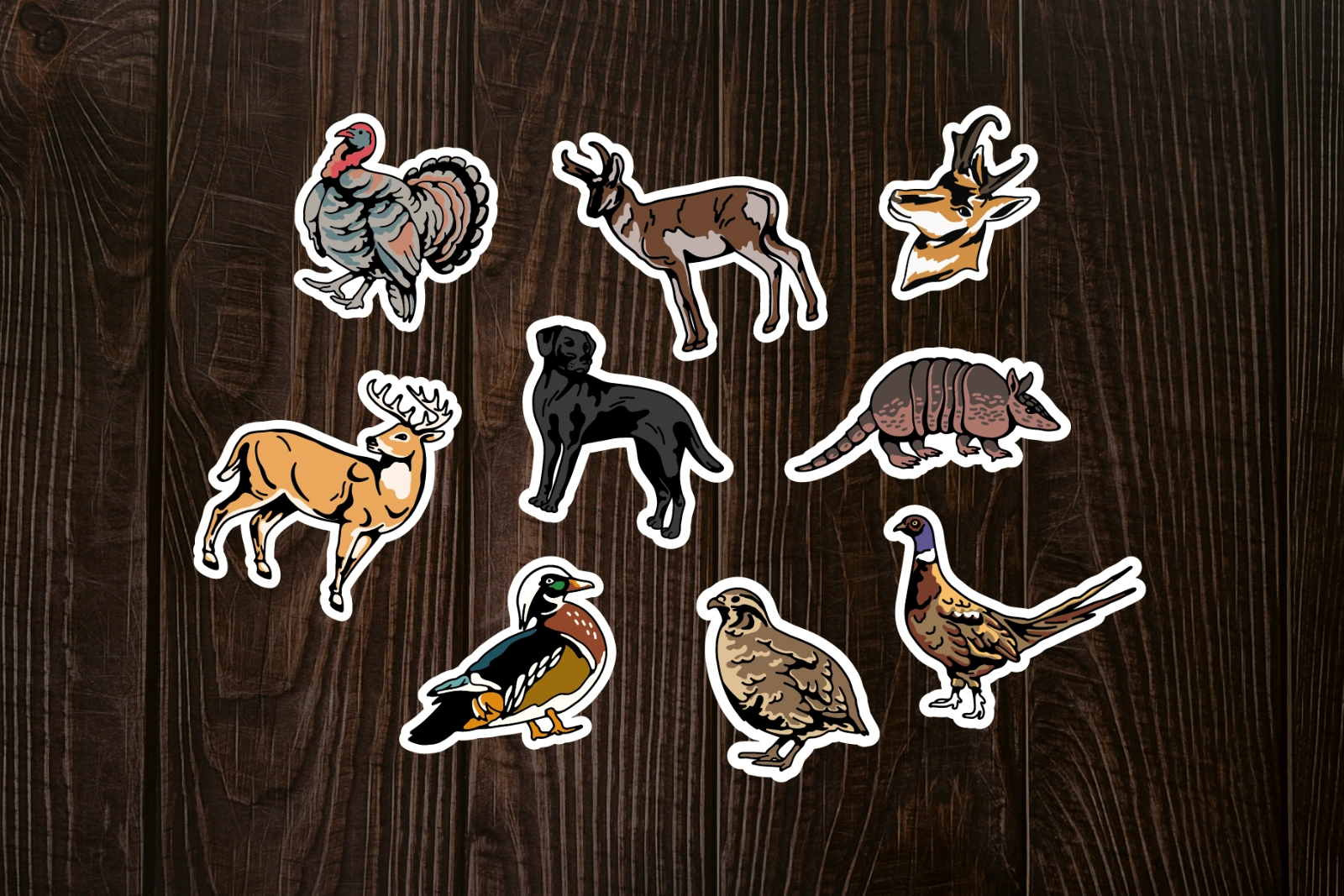 Hunting Animal Illustration — image 13