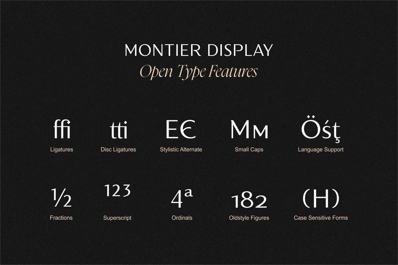 Montier Elegant Display