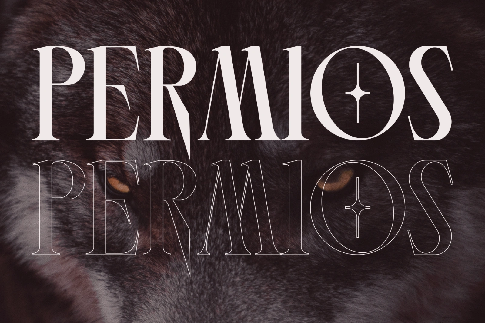 Wolves - Font — image 13