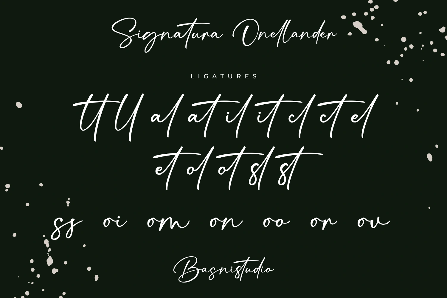 Signatura Onelander Font — image 13