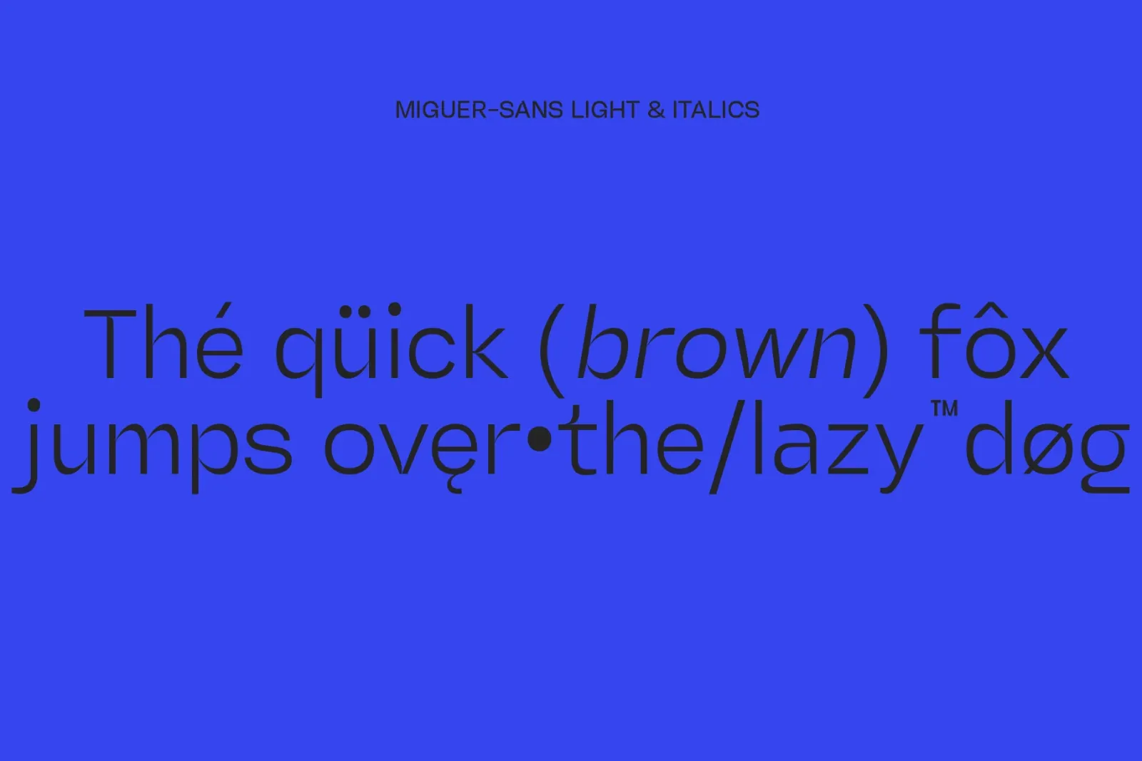 Miguer Sans | Contrast Sans — image 15