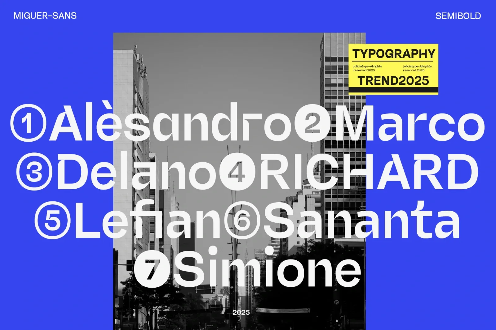 Miguer Sans | Contrast Sans — image 18