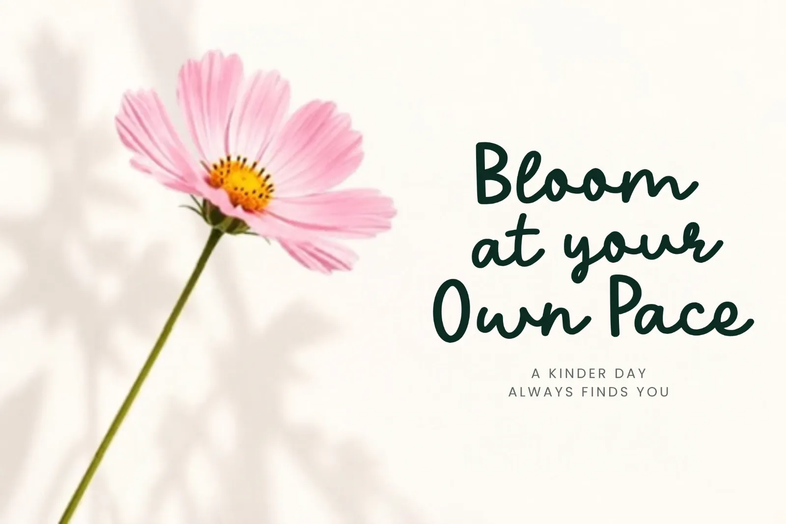 Nice Twice – Playful Handwritten Font Duo Styles — image 19