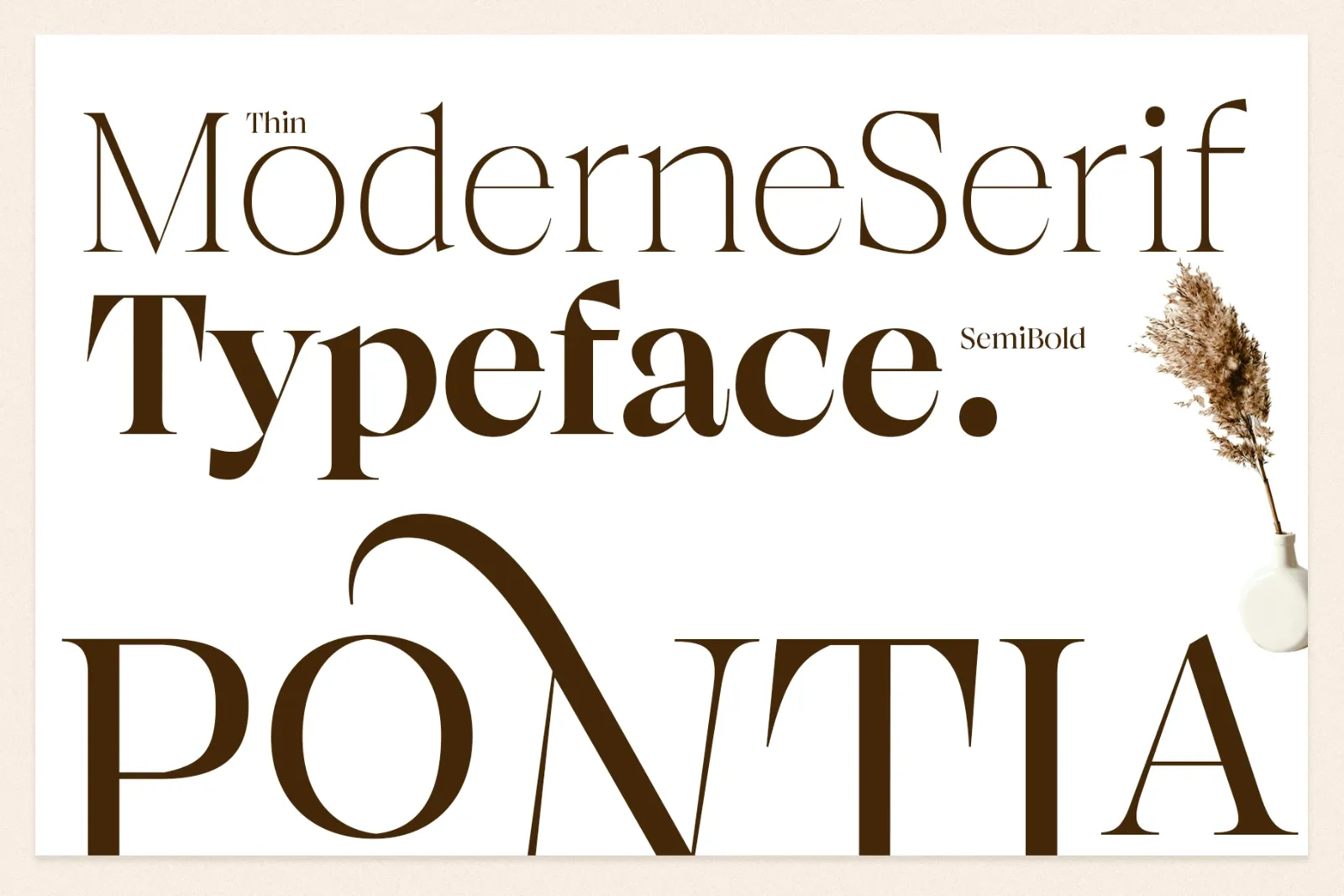 Browne de Calvin | Luxury Serif Typeface — image 19