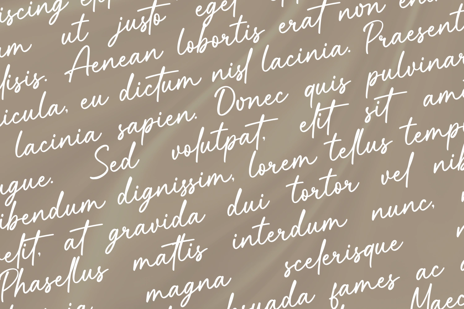 Mickelhokan a Handwritten Font — image 2
