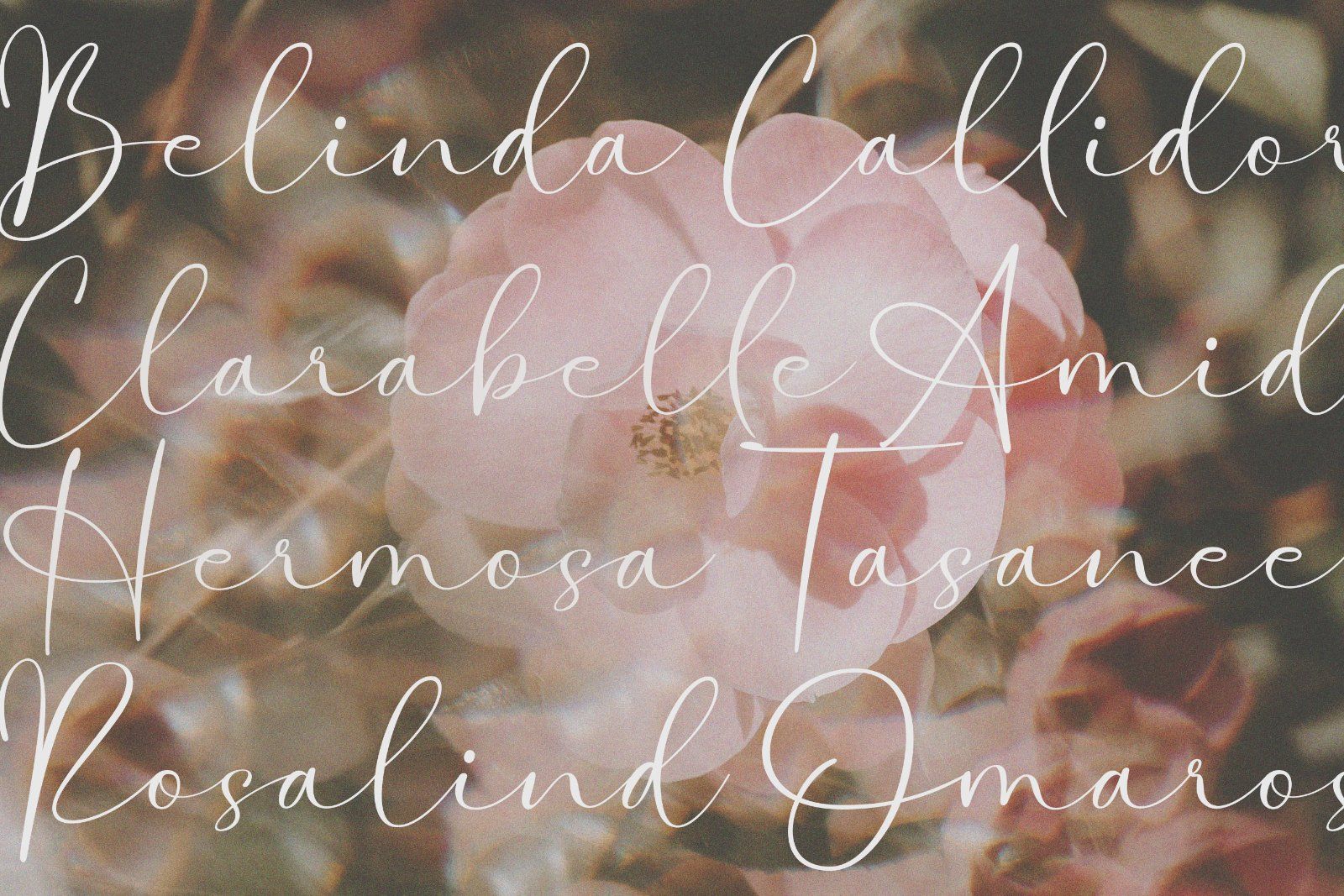 Kinslee - Elegant Handwritten Script Font — image 6
