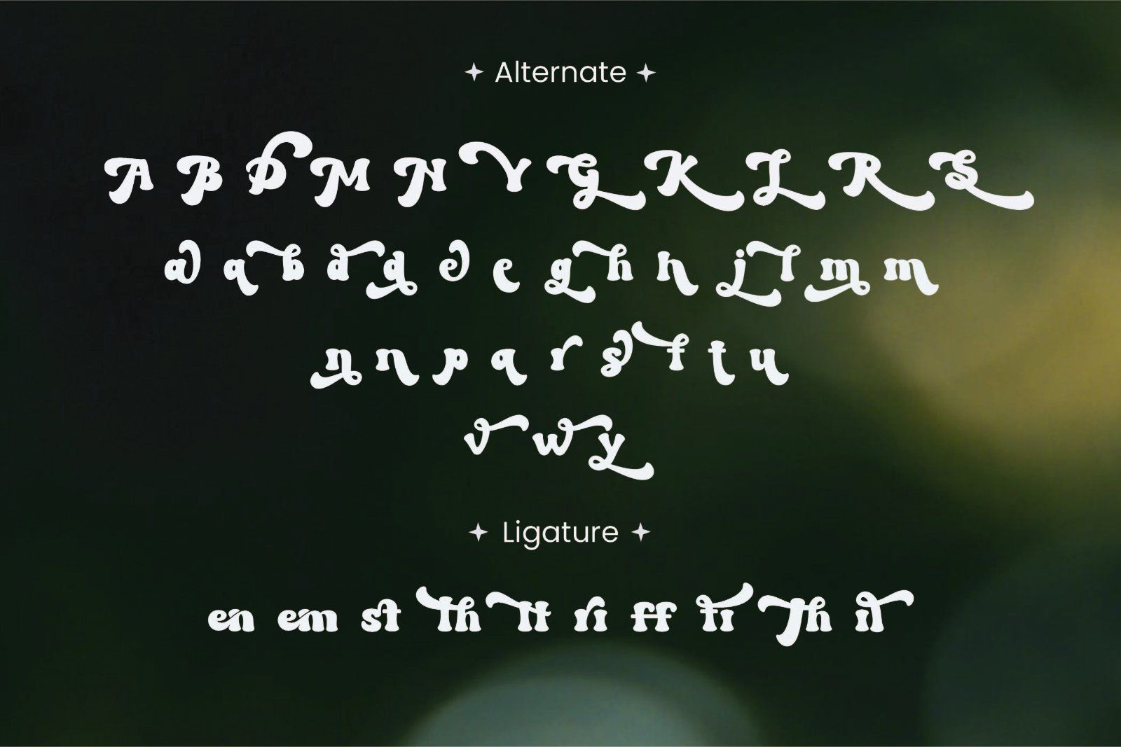 Marson - Retro Groovy Display Font — image 10