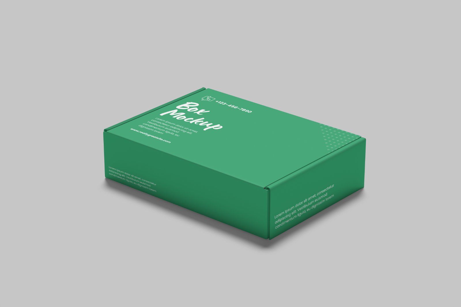 Mailer Box Mockup