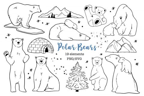 Polar Bear Clipart PNG, Mama Bear SVG, Winter Arctic Animals Vector Outline