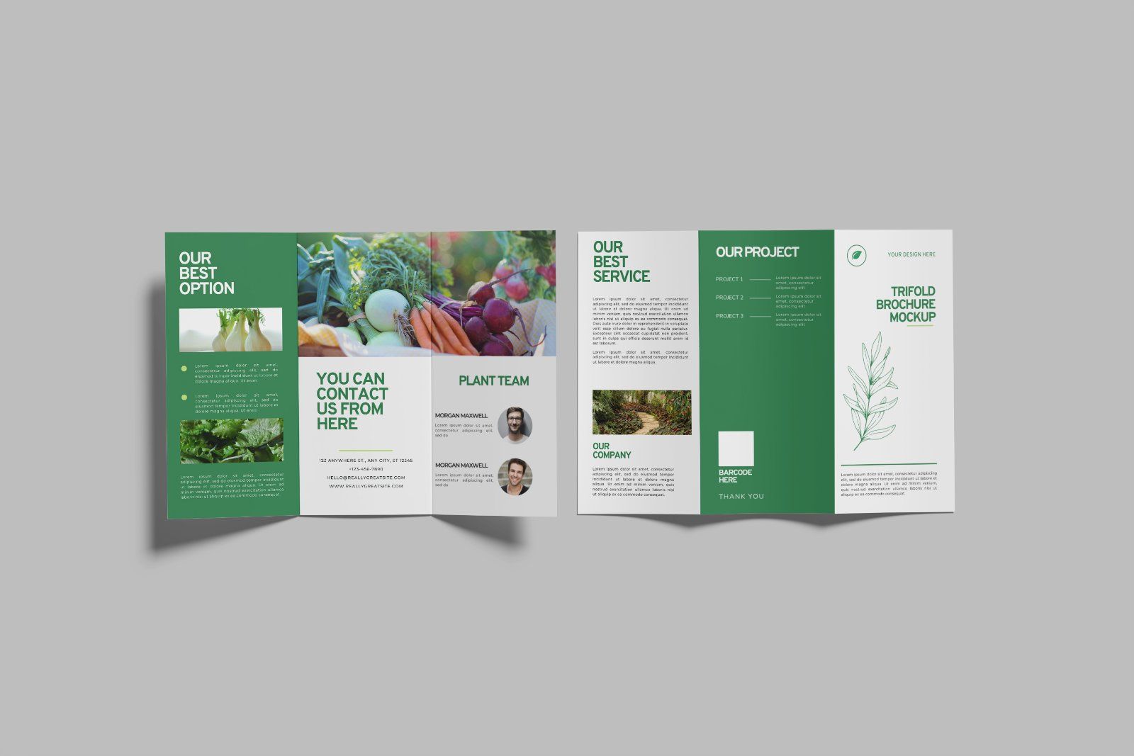 Trifold Brochure Mockup — image 1