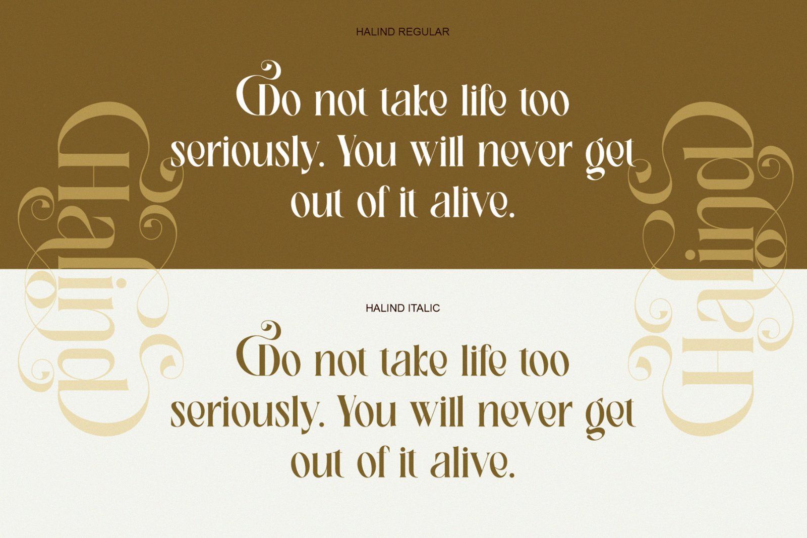 **Halind — Modern Elegant Serif Typeface** — image 2