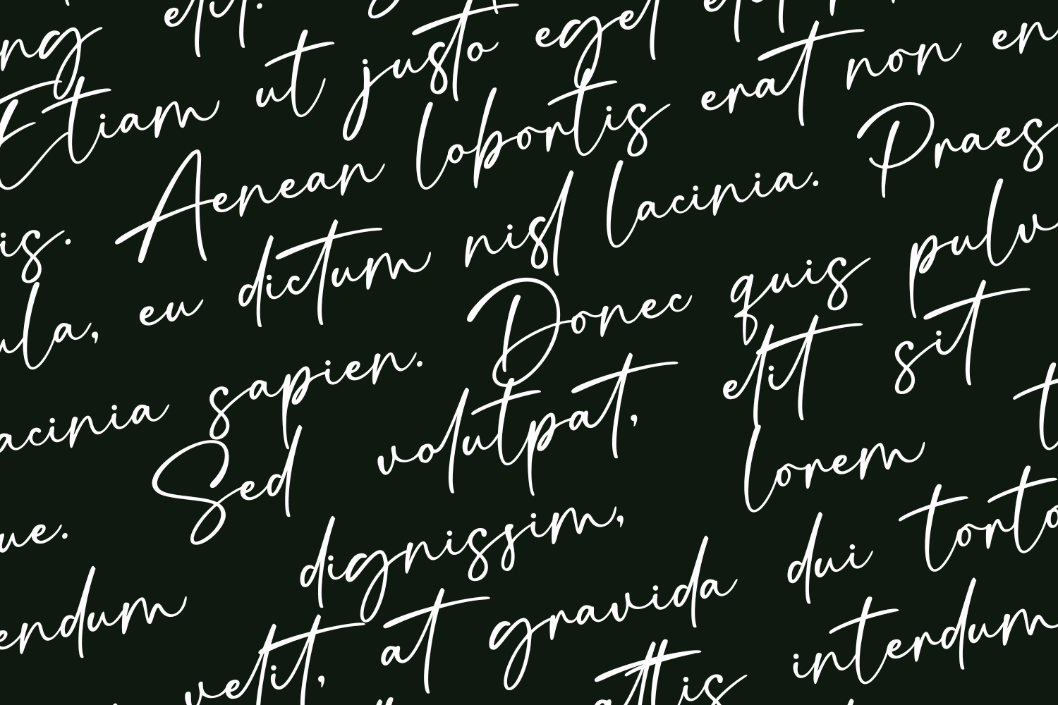 Signatura Onelander Font — image 2