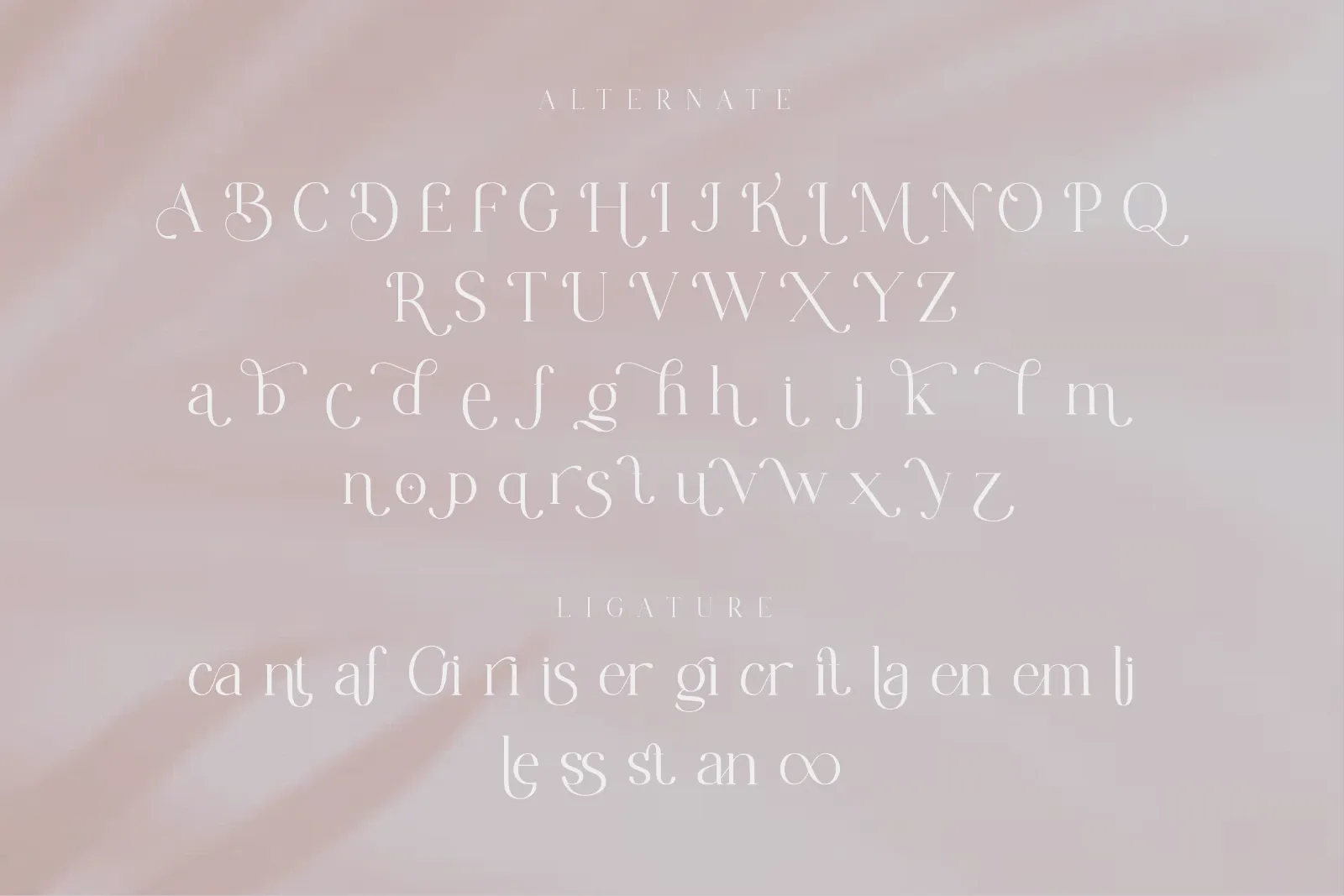 Chanley - Modern Serif Font — image 11