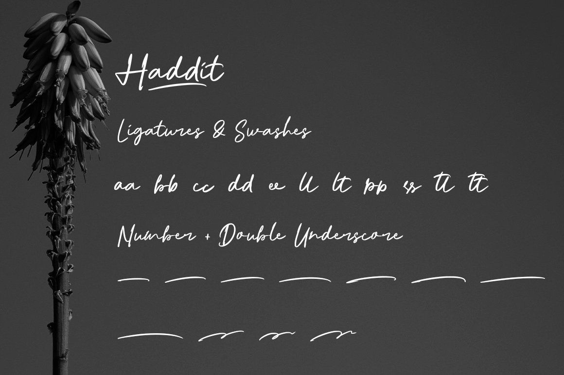 Haddit