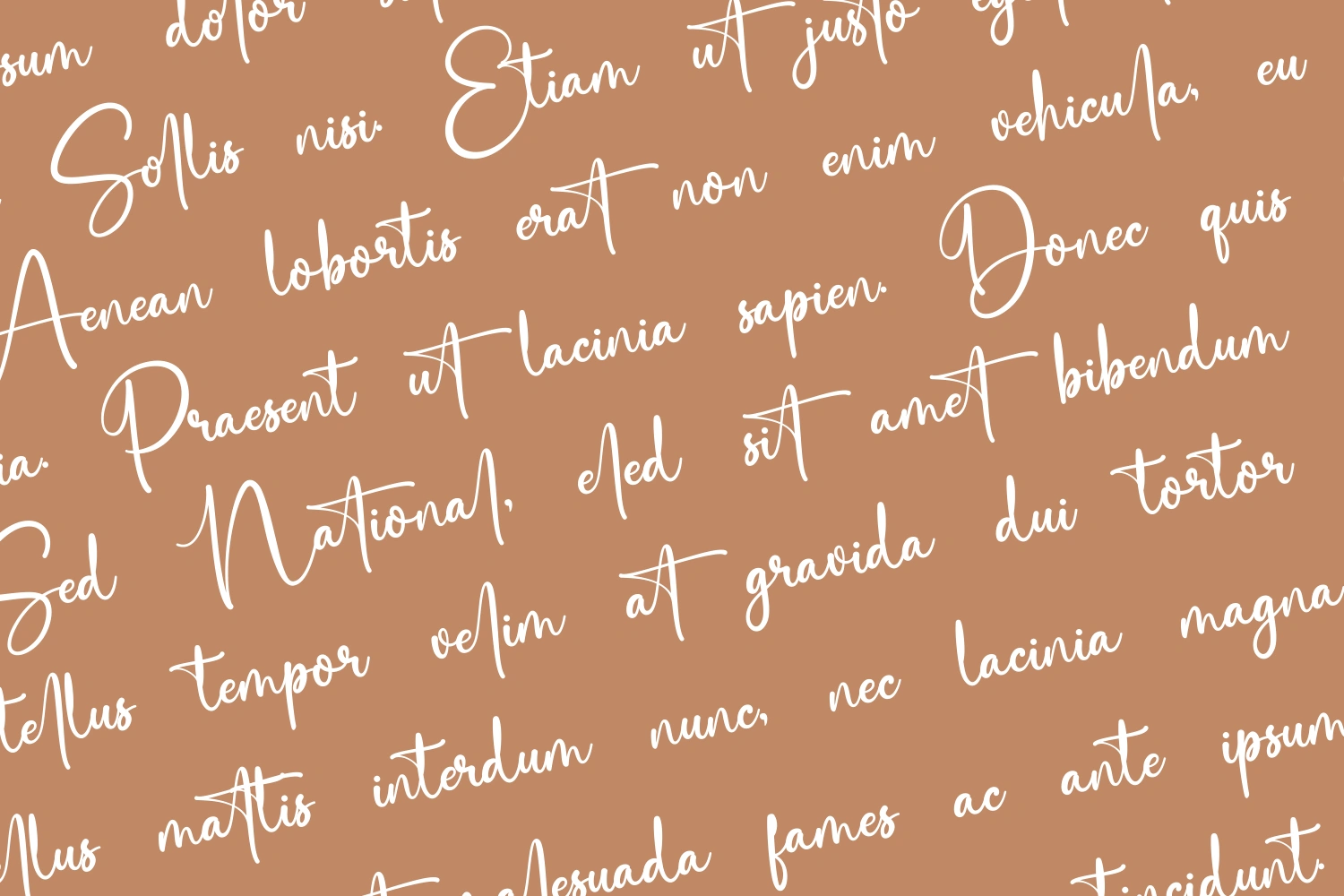 Saitingan Handwritign Font — image 2