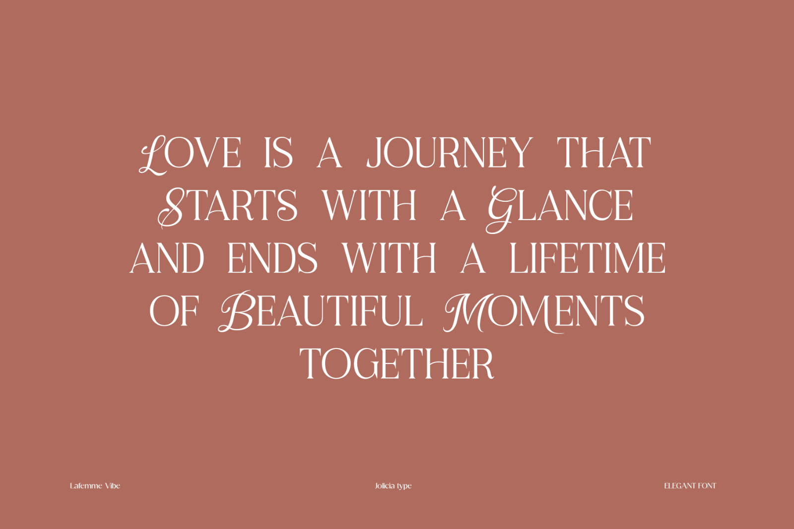 La Femme Vibe | Serif Font — image 3
